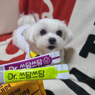 안심댕면 강아지라면 5봉지+쓰담쓰담 종합영양제 2스틱 샘플 증정 — 5점을 준 리뷰어가 2022년 8월 올린 사용 사진