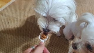공팔리터님이 올린 리뷰 사진 4