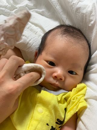디어엘로디 오가닉 무표백 건티슈 — 5점을 준 리뷰어가 2022년 8월 올린 사용 사진