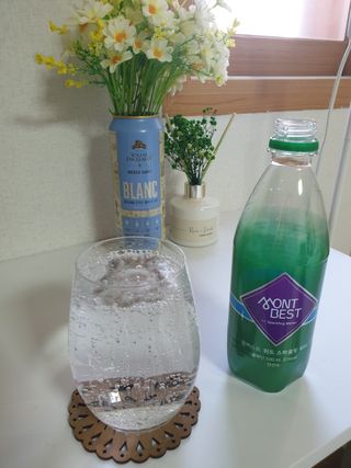 몽베스트 Montbest with Sparkling water Plain 20병 — 5점을 준 리뷰어가 2023년 3월 올린 사용 사진