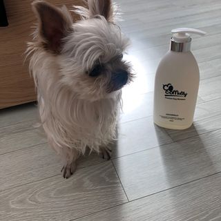 라디님이 올린 리뷰 사진 1