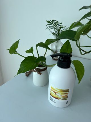 릴리님이 올린 리뷰 사진 3