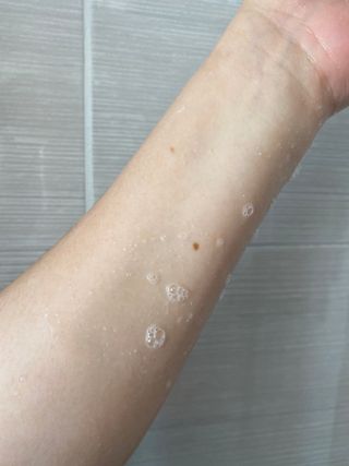 시큼한고냥이님이 올린 리뷰 사진 4