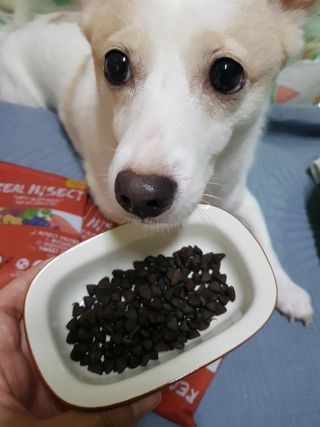 모델윤지님이 올린 리뷰 사진 3