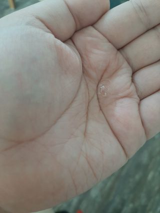 도도맘님이 올린 리뷰 사진 4