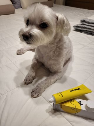 Zenithhappy님이 올린 리뷰 사진 1