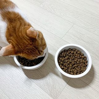 루비나나님이 올린 리뷰 사진 3
