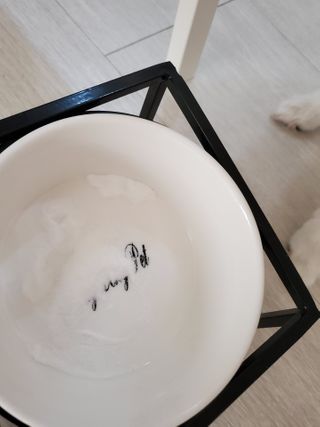 My Pet Care 모발과 모질 피부건강에 개좋아 — 5점을 준 리뷰어가 2021년 2월 올린 사용 사진