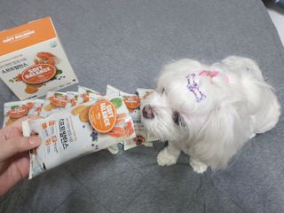 두부님이 올린 리뷰 사진 4
