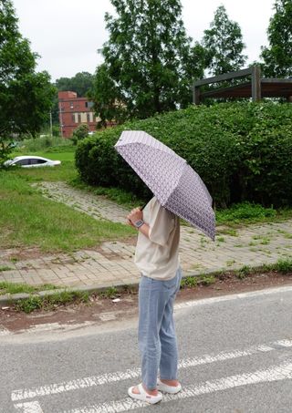 영지버섯님이 올린 리뷰 사진 4