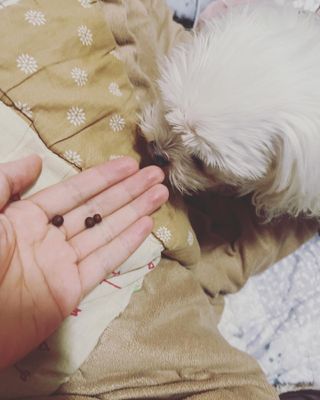 대바기님이 올린 리뷰 사진 3