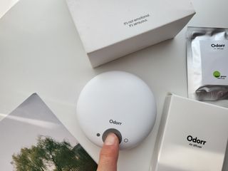 큰꿈님이 올린 리뷰 사진 4