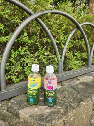 더그레잇티 콤부차 [매일유업] 더그레잇티 44kcal 콤부차 300ml *12개입 (오리지널 6개+베리리치 6개) — 5점을 준 리뷰어가 2023년 7월 올린 사용 사진