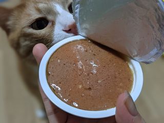 언니의호기심님이 올린 리뷰 사진 1