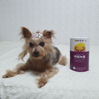 솜희님이 올린 리뷰 사진 2