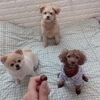 혀나님이 올린 리뷰 사진 3