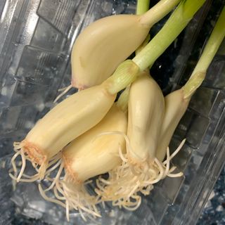 니니닝님이 올린 리뷰 사진 1