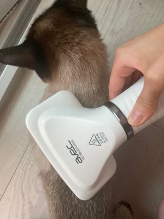 아베크 펫 강아지 고양이 애견 에어 브러쉬 드라이기 올인원 — 3점을 준 리뷰어가 2021년 7월 올린 사용 사진
