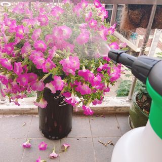 거져줄께잘사가님이 올린 리뷰 사진 4