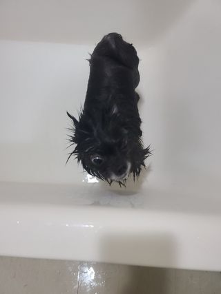 보니님이 올린 리뷰 사진 3