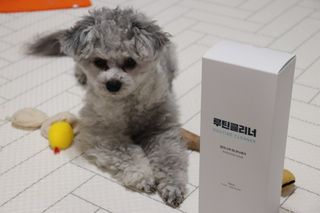 이설님이 올린 리뷰 사진 1