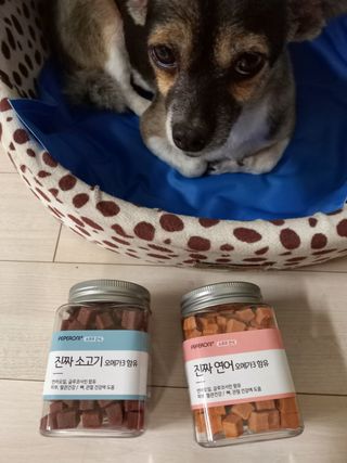 페페로니 진짜 오메가3 연어+소고기 180g+180g — 5점을 준 리뷰어가 2021년 7월 올린 사용 사진