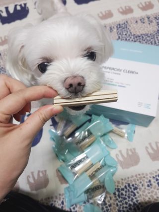 페페로니 클린플러스 덴탈치킨껌 10g x 14p — 5점을 준 리뷰어가 2021년 7월 올린 사용 사진