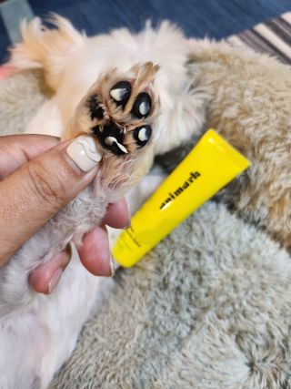 뽀블리님이 올린 리뷰 사진 4