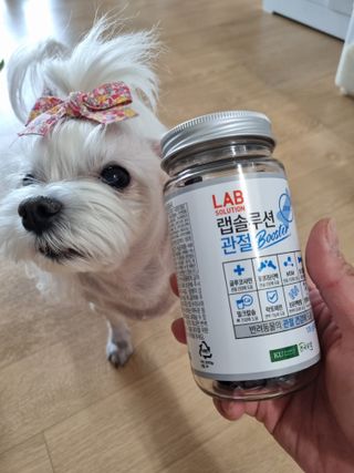랩솔루션 강아지 영양제 3종 중 택 1 — 5점을 준 리뷰어가 2022년 6월 올린 사용 사진