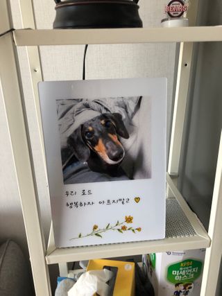 YunjinKo님이 올린 리뷰 사진 1