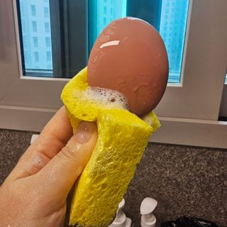 뇽꿍님이 올린 리뷰 사진 2
