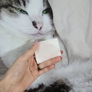 루잉루잉님이 올린 리뷰 사진 3