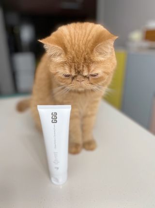 지지지 클린 퍼펙트 클렌징폼 120g — 4.5점을 준 리뷰어가 2022년 3월 올린 사용 사진