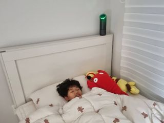 도도맘님이 올린 리뷰 사진 2
