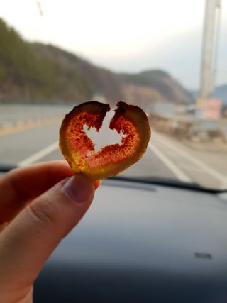 아비삭과일칩 5종 /딸기,사과,배,귤,무화과 5종 — 4.5점을 준 리뷰어가 2021년 4월 올린 사용 사진
