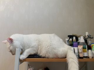 ㄹ진님이 올린 리뷰 사진 3
