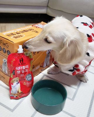 PDKIM님이 올린 리뷰 사진 1