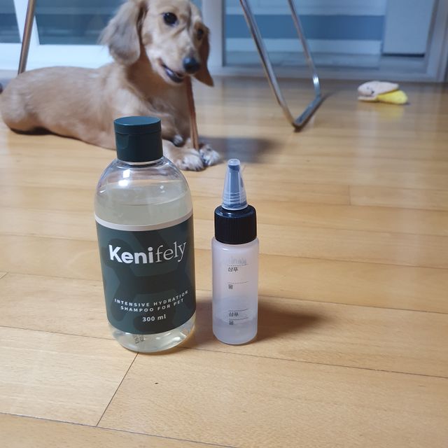케니펠리 저자극 고보습 비건 강아지 고양이 샴푸 리뷰 사진