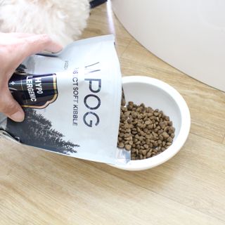 [푸디웜] 라포그 리얼인섹트 소프트키블 스킨 1KG — 5점을 준 리뷰어가 2022년 9월 올린 사용 사진