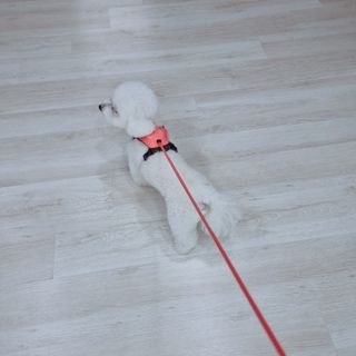 우주님이 올린 리뷰 사진 3