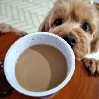 기린짱맘님이 올린 리뷰 사진 3