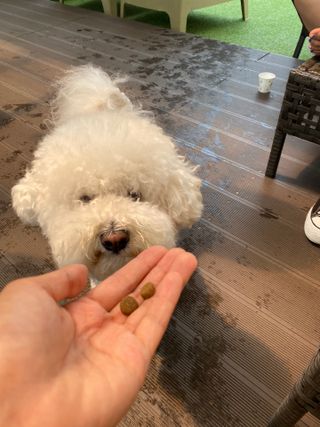 사커맘님이 올린 리뷰 사진 2