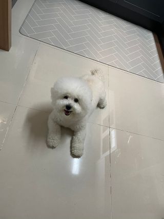 지예지예❤️님이 올린 리뷰 사진 1