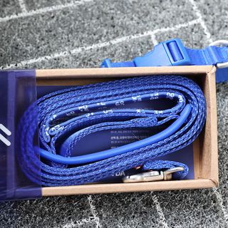 멍멍언니님이 올린 리뷰 사진 4
