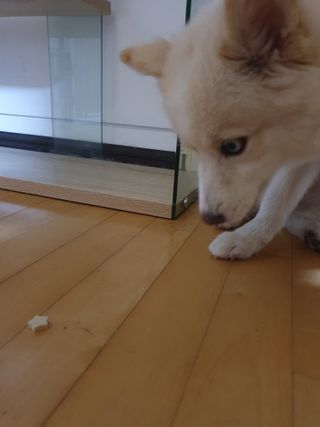 혜민스님님이 올린 리뷰 사진 2