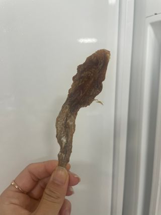 영이님이 올린 리뷰 사진 3