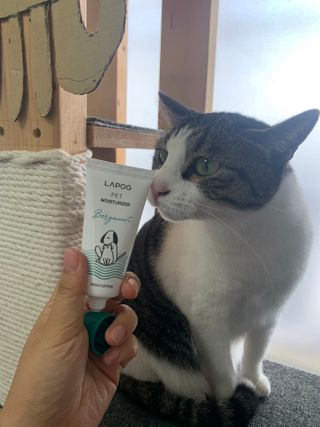 샬페이님이 올린 리뷰 사진 3