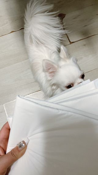 요블리님이 올린 리뷰 사진 3