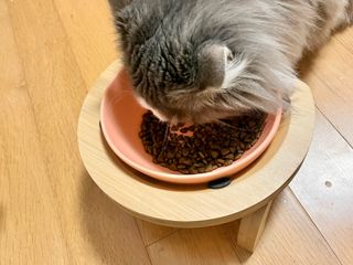 suu님이 올린 리뷰 사진 3