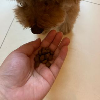 토끼님이 올린 리뷰 사진 3